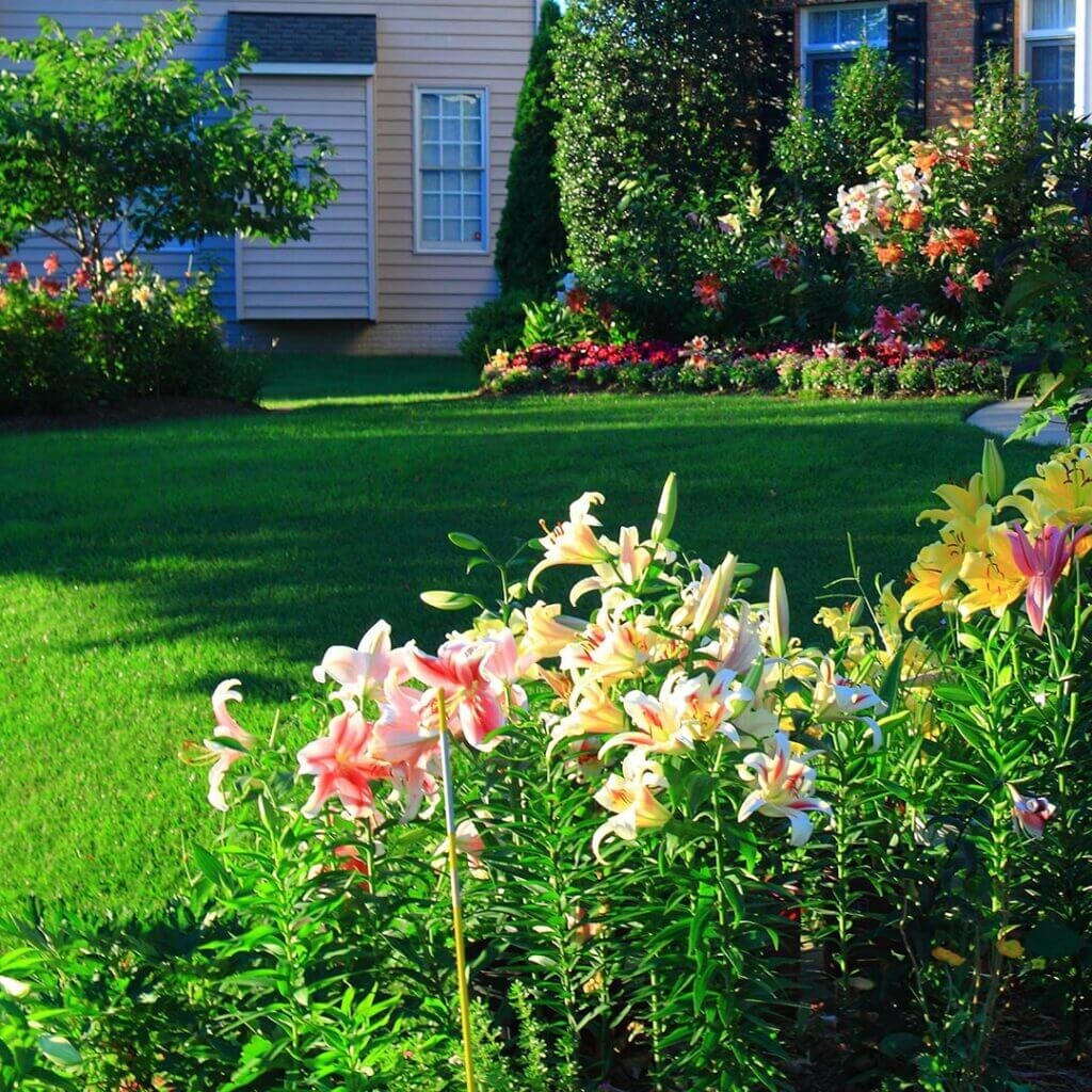 Johns Creek Lawn Care PB 50 50 Pic 1 Johns Creek Lawn Care PB 50 50 Pic 1