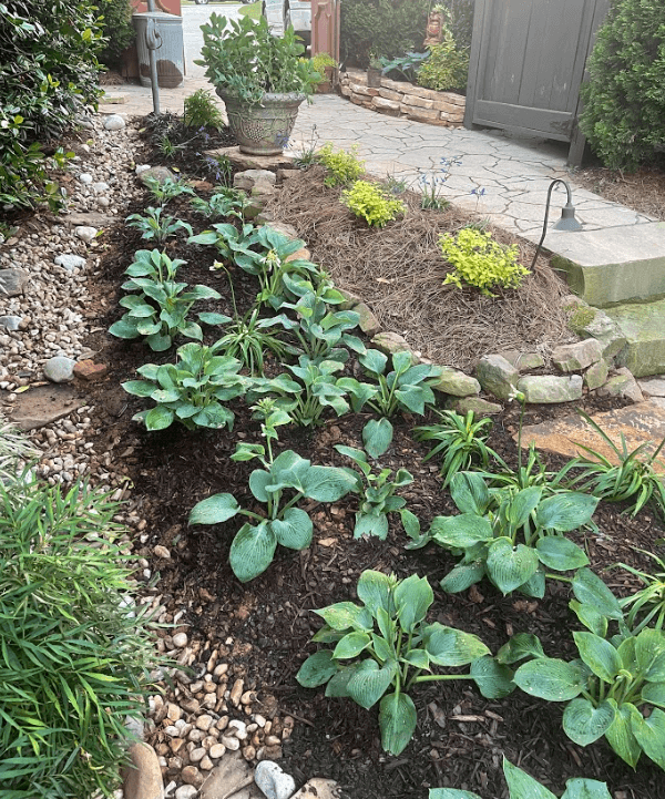 Simply-Green-Lawn-Care-Plant-Healthcare-photo-2 Simply-Green-Lawn-Care-Plant-Healthcare-photo-2