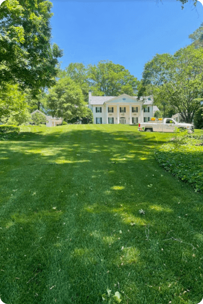 Simply-Green-Lawn-Care-Plus-Customer-Lawn-1