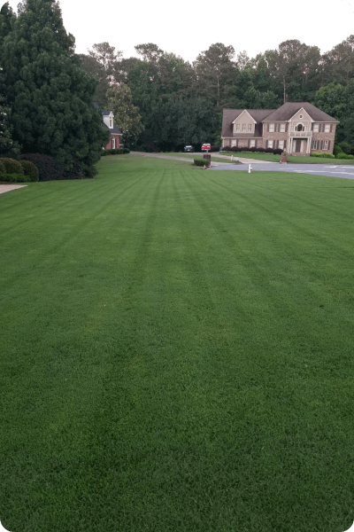 Simply-Green-Lawn-Care-Plus-Customer-Lawn-4