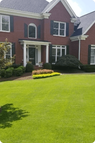 Simply-Green-Lawn-Care-Plus-Customer-Lawn-5