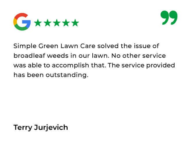 Simply Green Testimonials_Simply Green Google Review 10