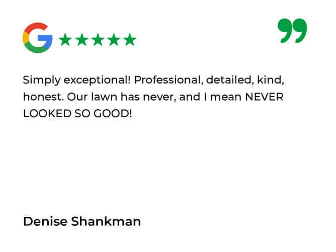 Simply Green Testimonials_Simply Green Google Review 11