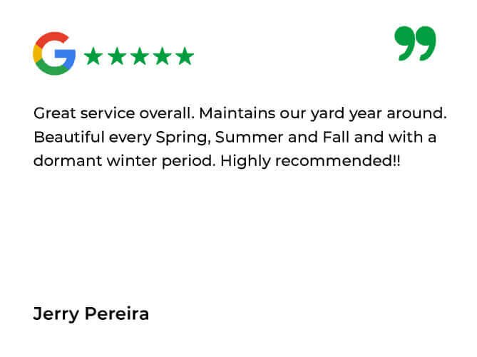 Simply Green Testimonials_Simply Green Google Review 12