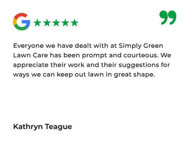 Simply Green Testimonials_Simply Green Google Review 4