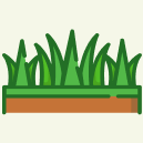 Grass-01-BZ Bermuda & Zoysia Lawn Care