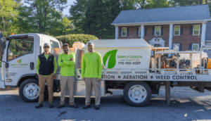 Benefits of Professional Lawn Care Services