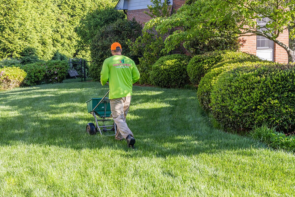 Simply Green Lawn Care Technician Using Fertilizer Spreader Picture of a Simply Green Technician fertilizing a lawn