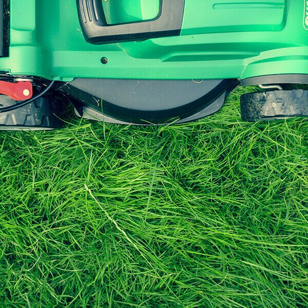 pic-2 Mower cutting grass